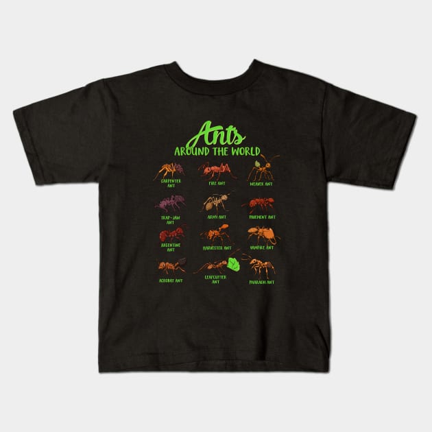 Ants around the world - ant species Kids T-Shirt by Modern Medieval Design